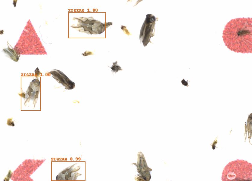 Fullscreen Image