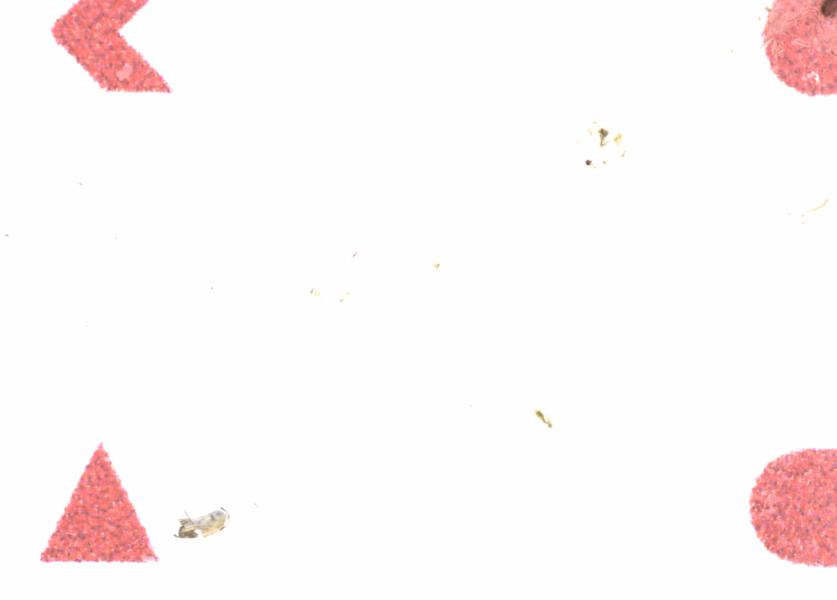 Fullscreen Image
