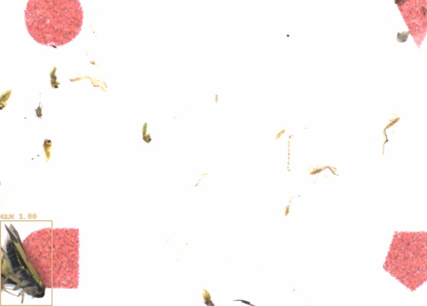 Fullscreen Image