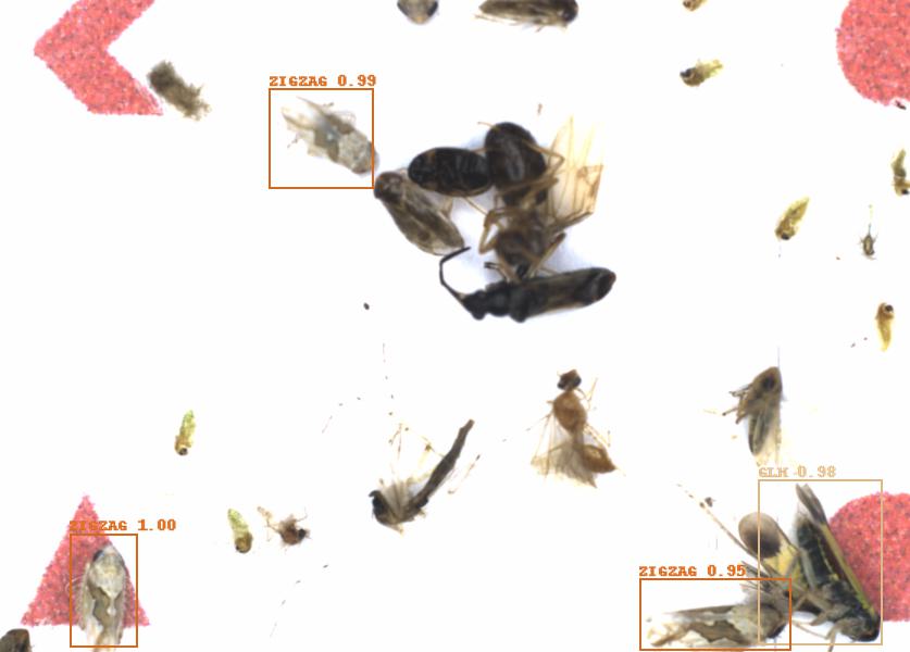 Fullscreen Image