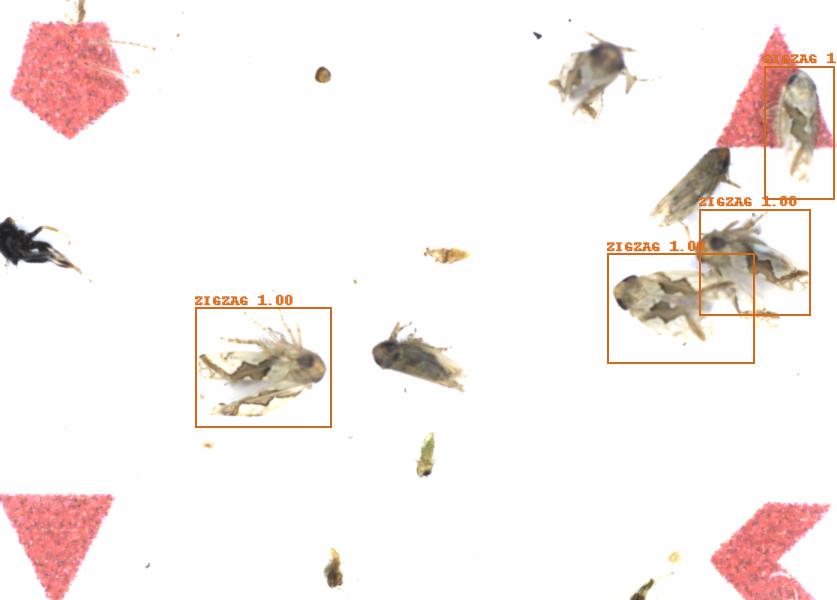 Fullscreen Image