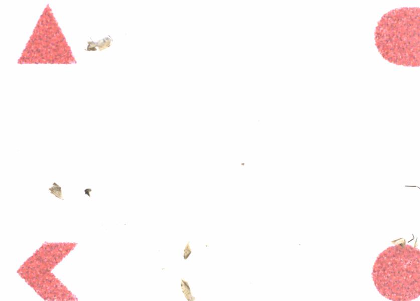 Fullscreen Image