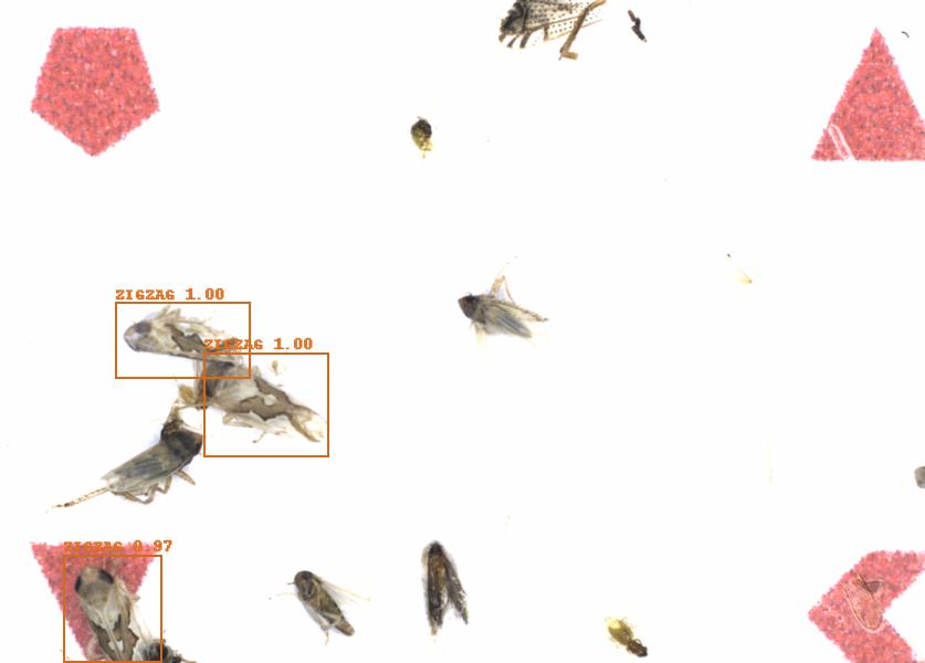Fullscreen Image