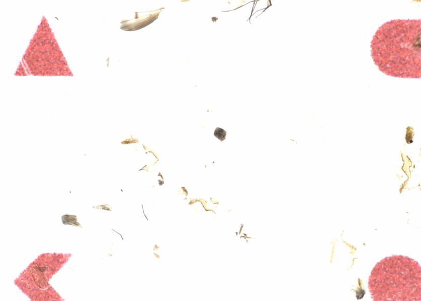 Fullscreen Image