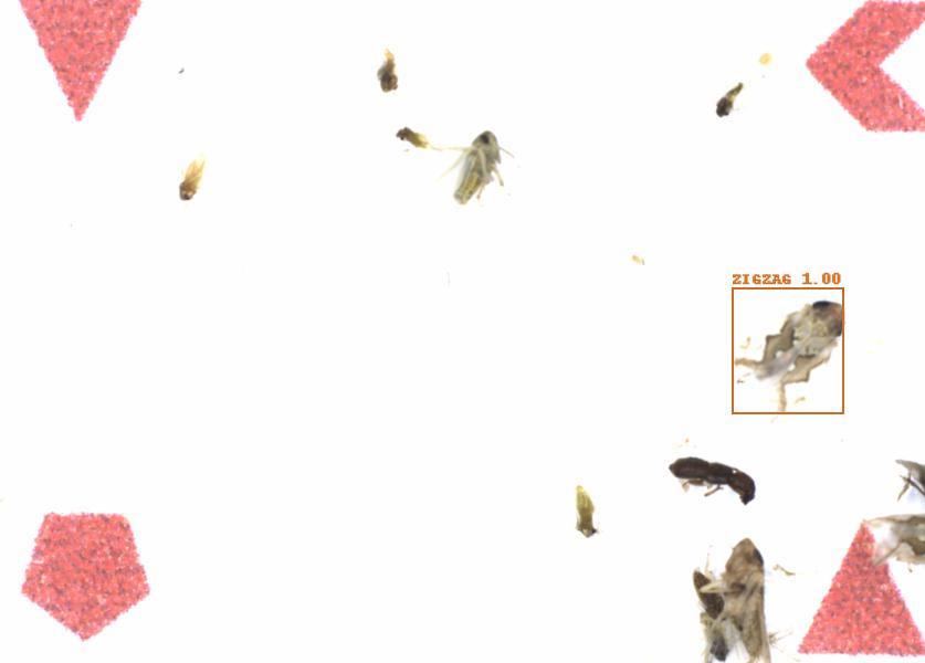 Fullscreen Image