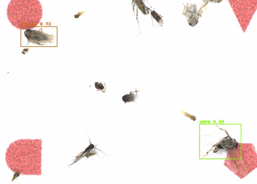 Fullscreen Image