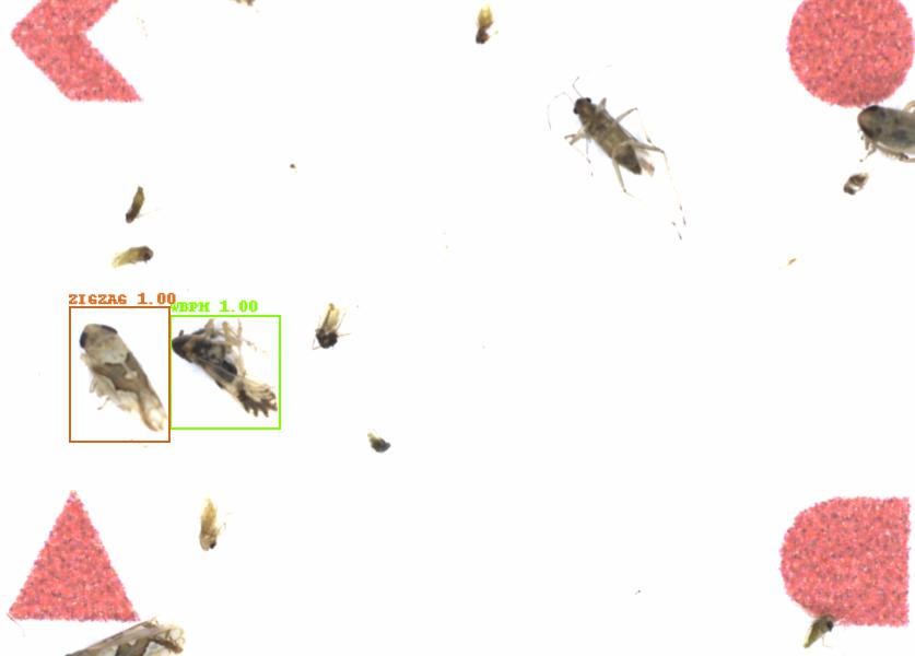Fullscreen Image