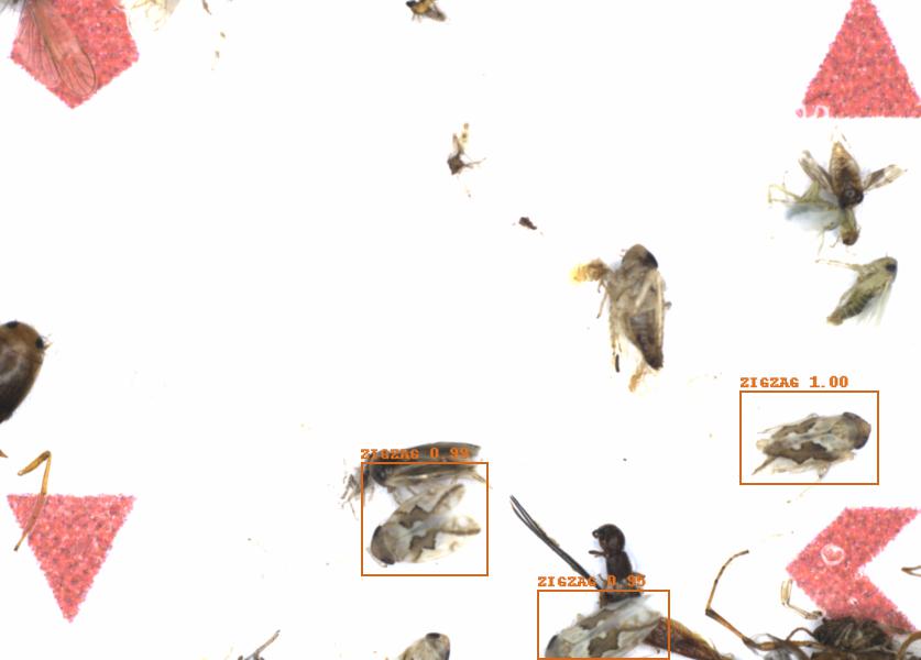 Fullscreen Image
