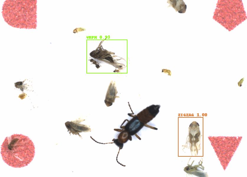 Fullscreen Image