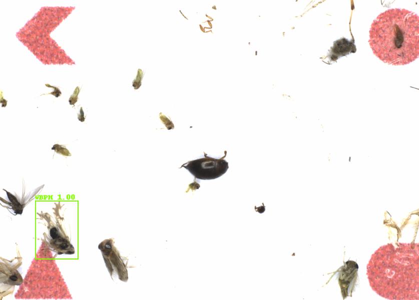 Fullscreen Image