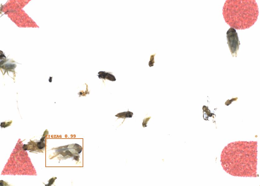 Fullscreen Image