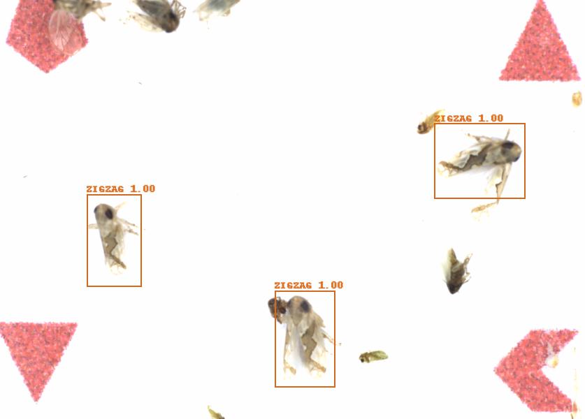 Fullscreen Image