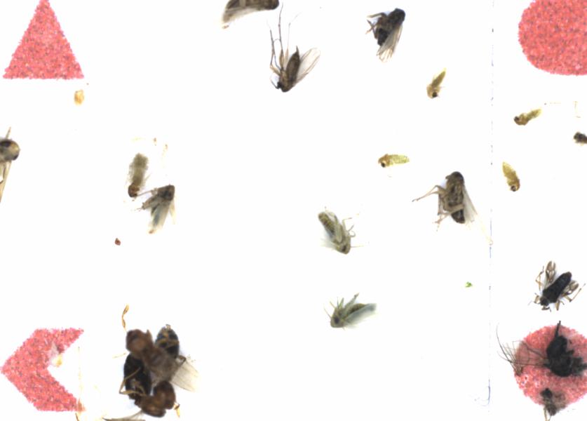 Fullscreen Image