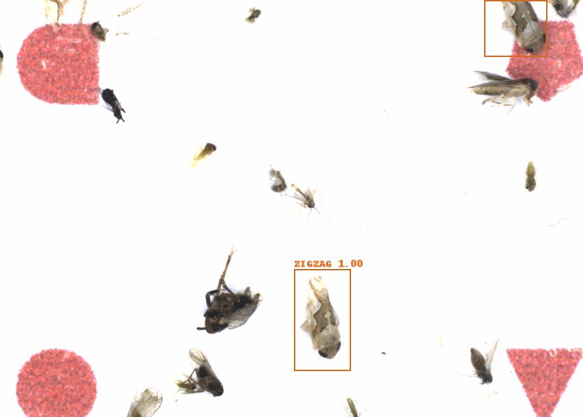 Fullscreen Image