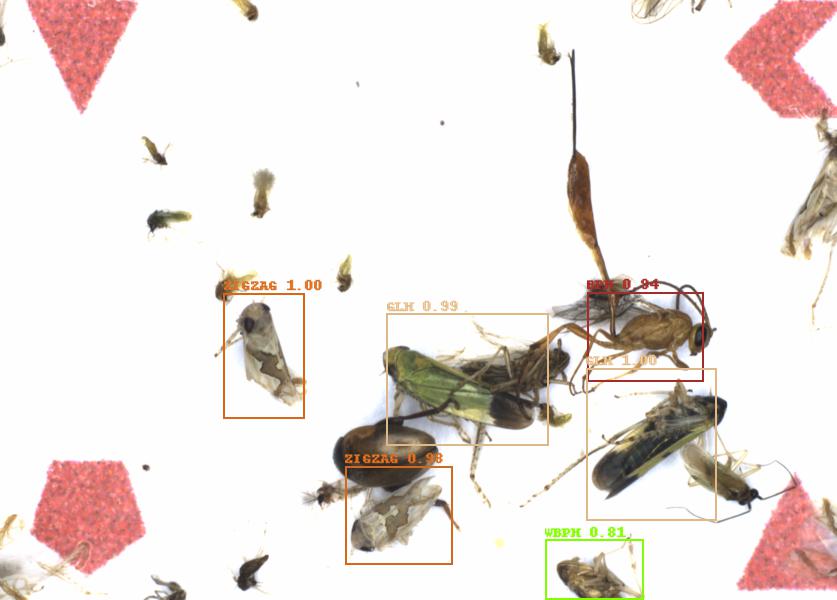 Fullscreen Image