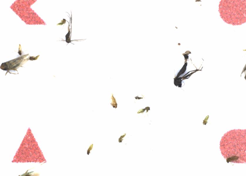 Fullscreen Image