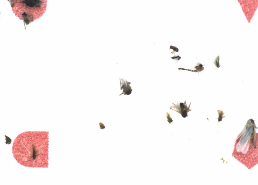 Fullscreen Image
