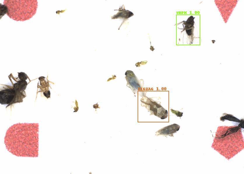 Fullscreen Image