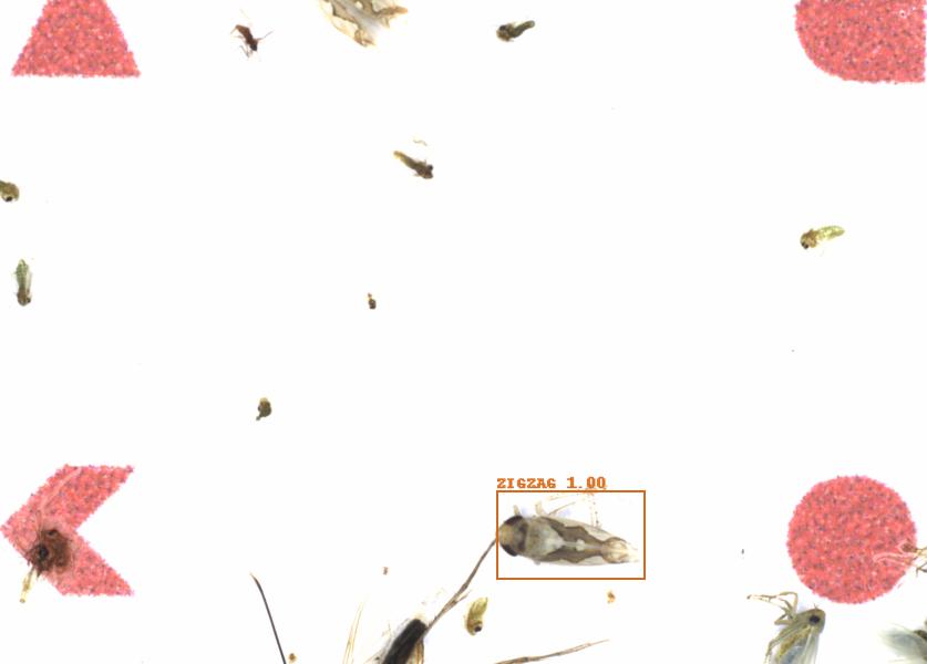Fullscreen Image