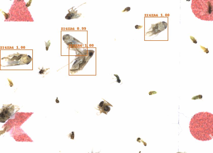 Fullscreen Image