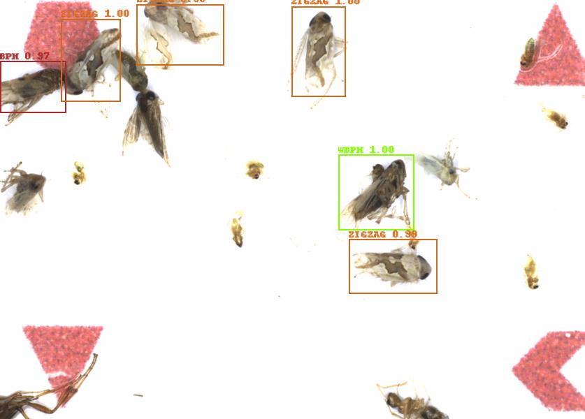 Fullscreen Image