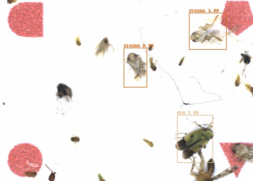 Fullscreen Image