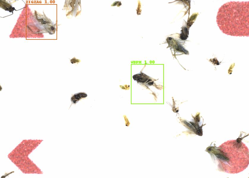 Fullscreen Image