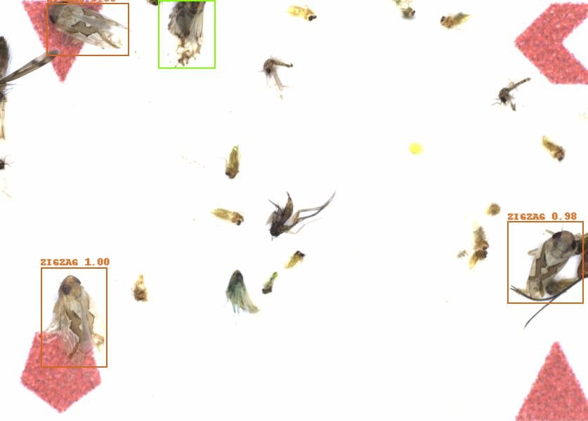 Fullscreen Image