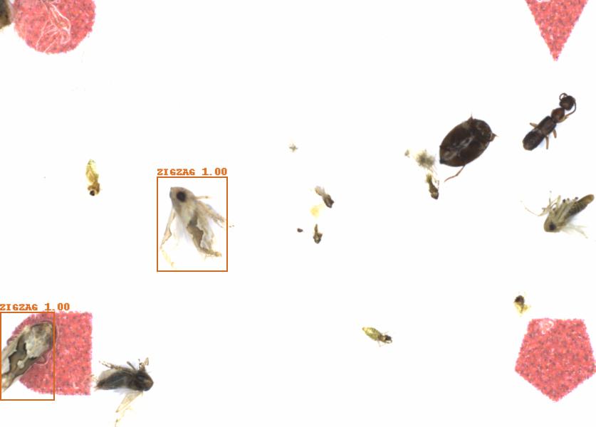Fullscreen Image