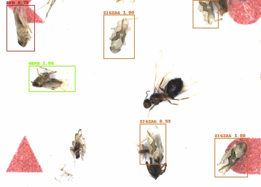 Fullscreen Image