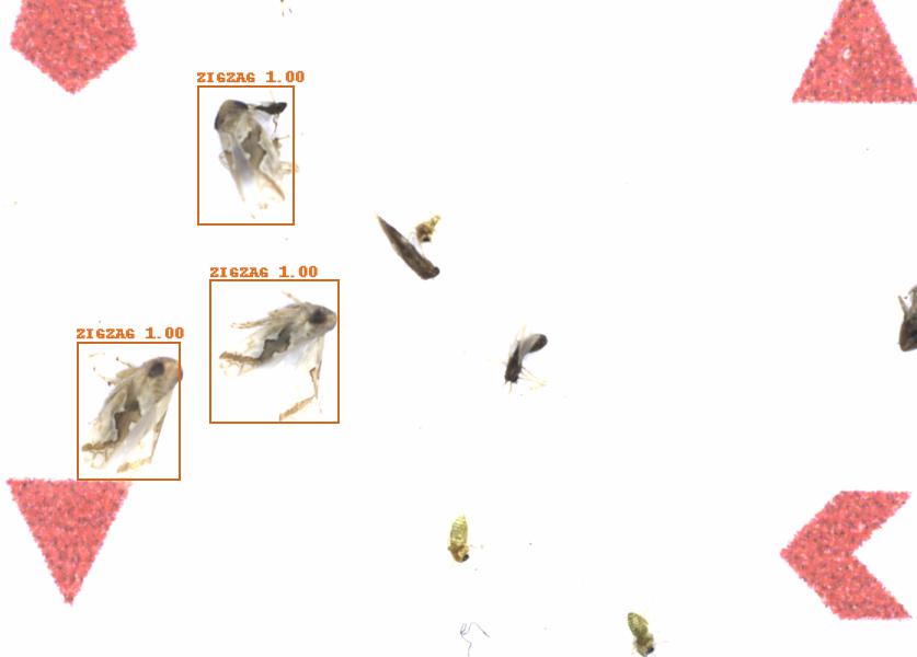 Fullscreen Image