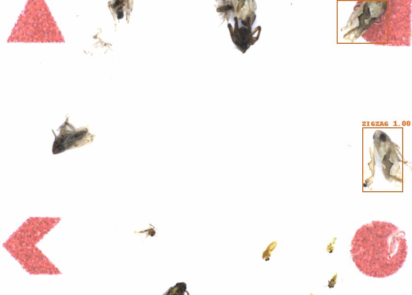Fullscreen Image