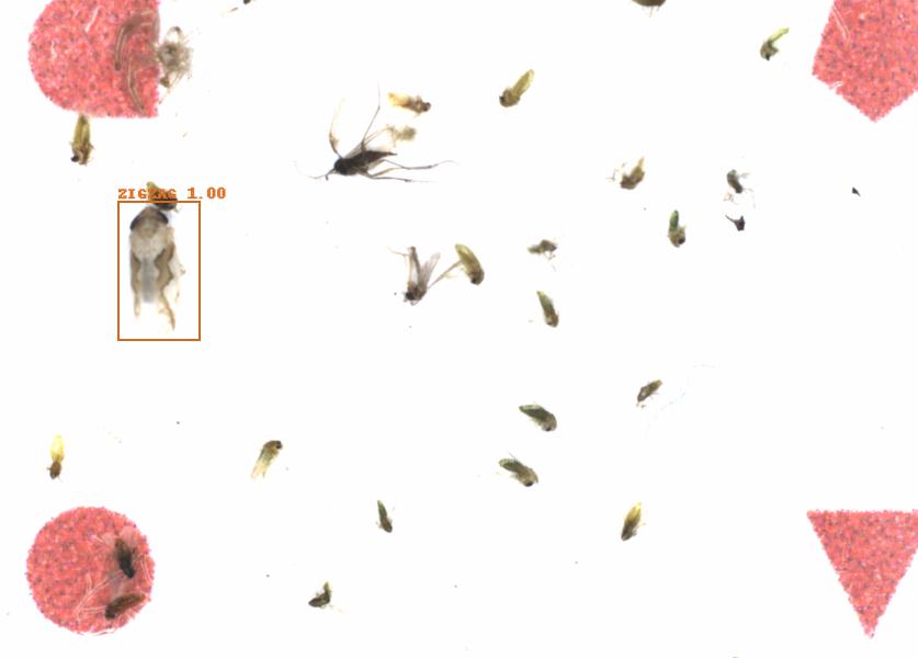 Fullscreen Image