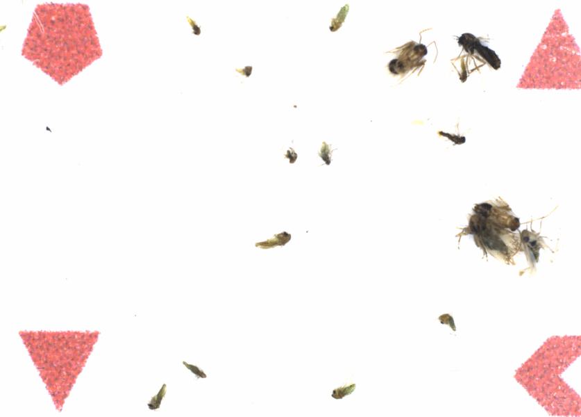 Fullscreen Image