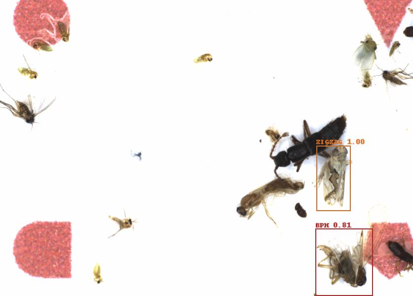 Fullscreen Image