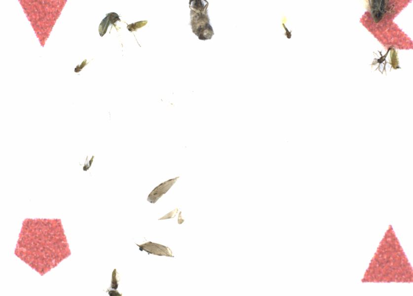 Fullscreen Image