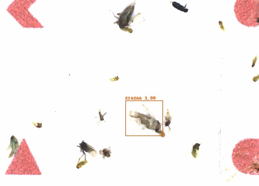 Fullscreen Image