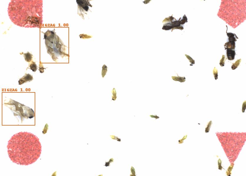 Fullscreen Image