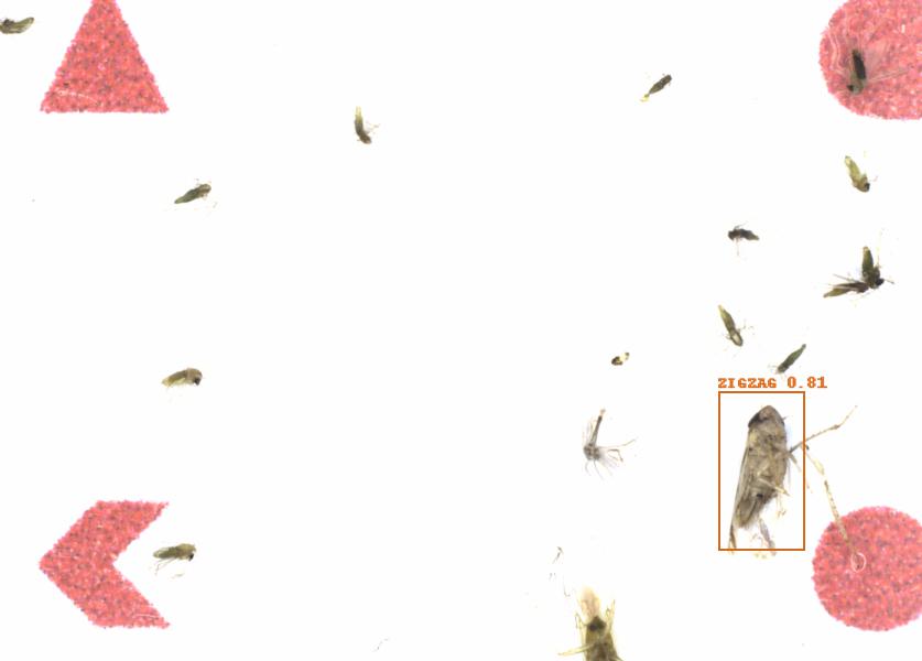 Fullscreen Image