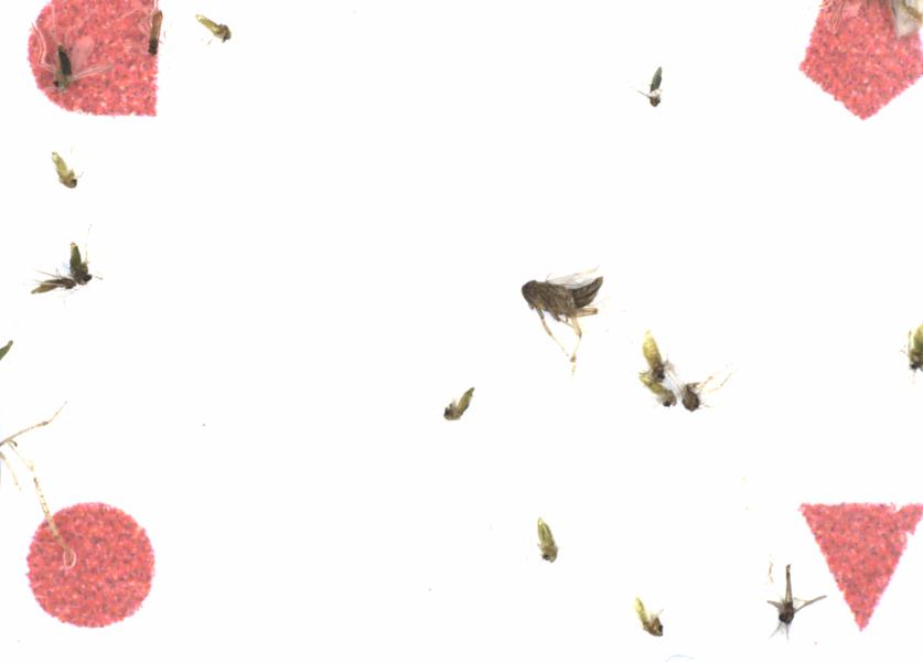 Fullscreen Image