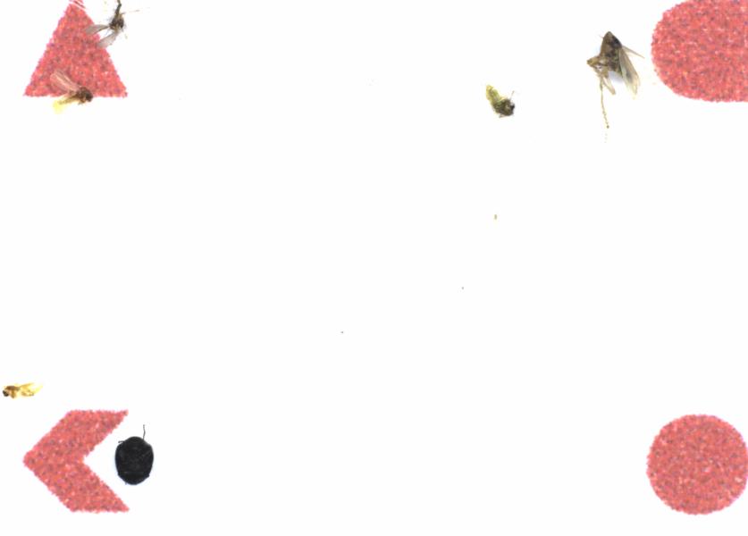 Fullscreen Image