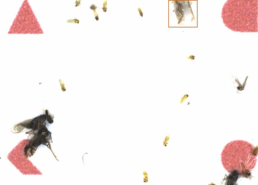 Fullscreen Image