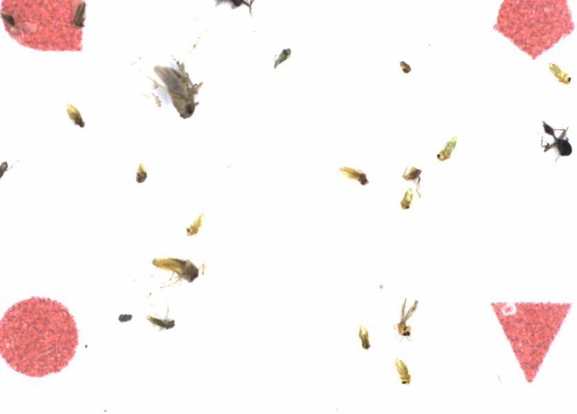 Fullscreen Image