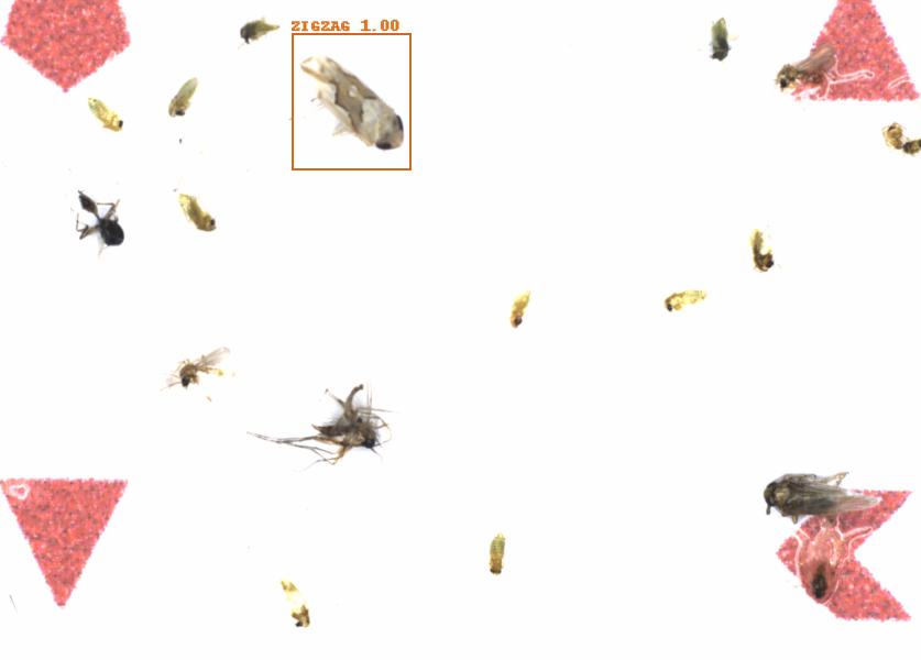 Fullscreen Image