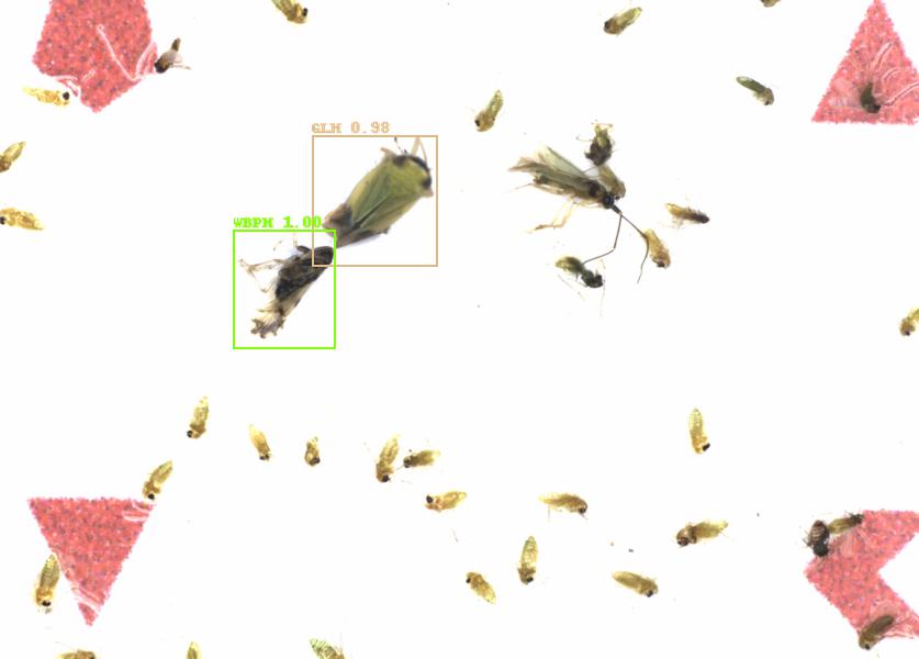 Fullscreen Image