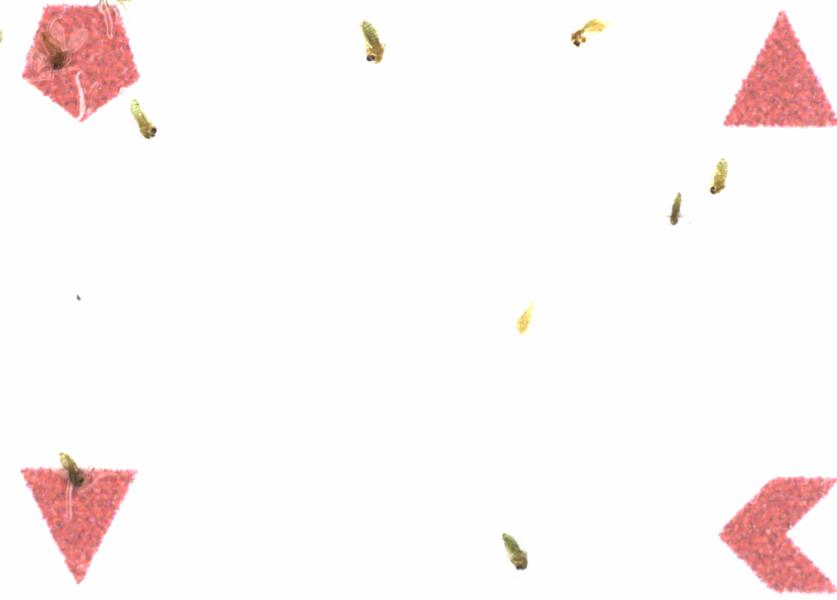 Fullscreen Image