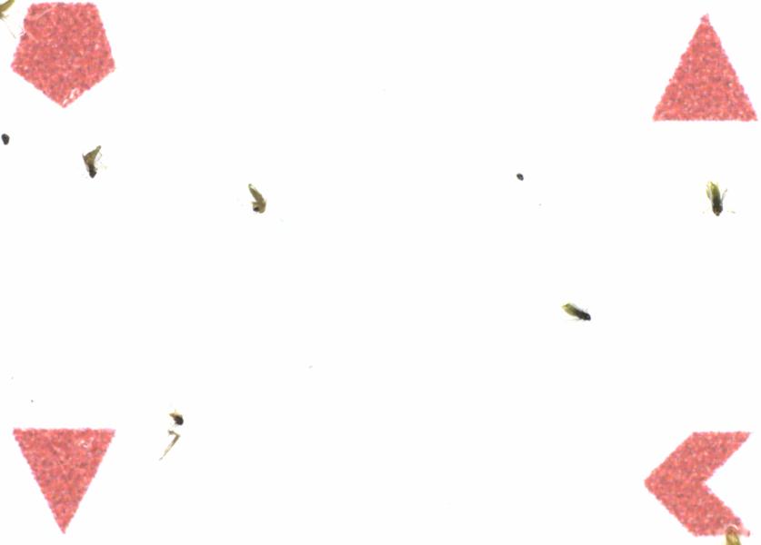 Fullscreen Image