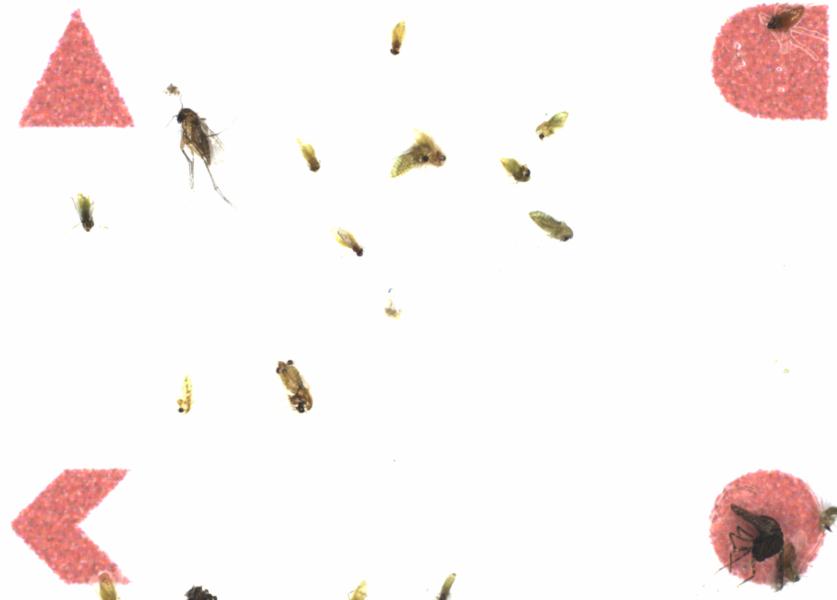 Fullscreen Image