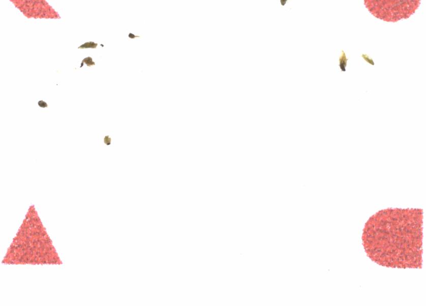 Fullscreen Image