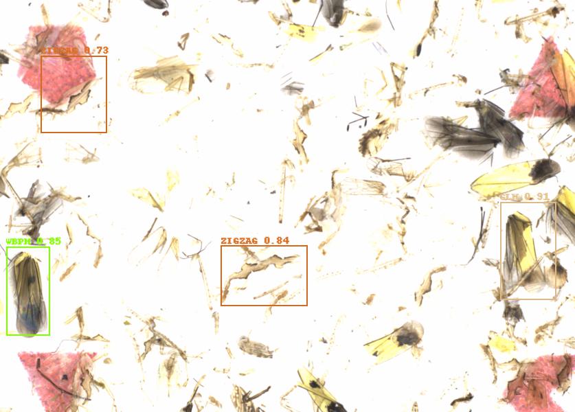 Fullscreen Image